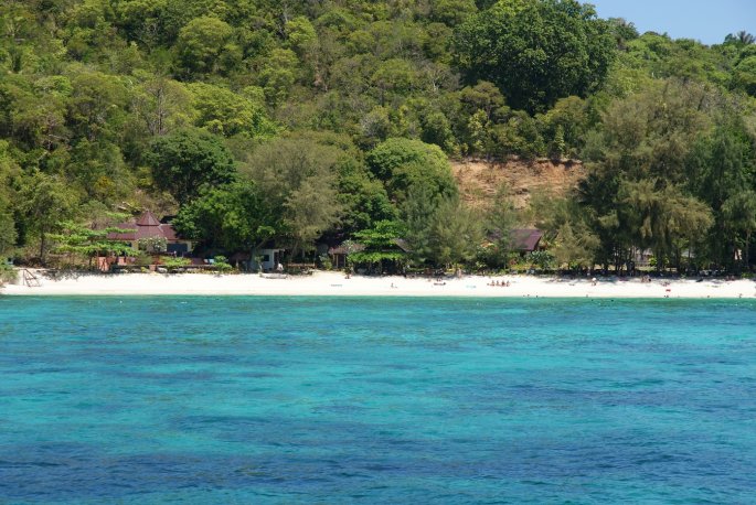 laut